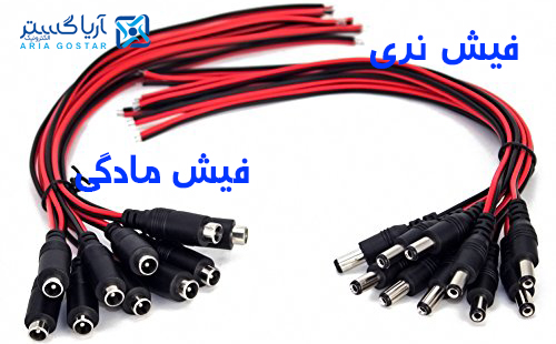 فیش نری و مادگی