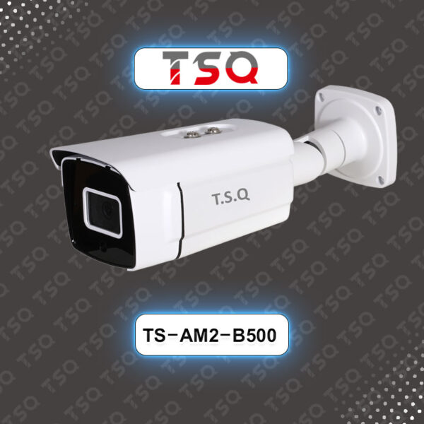TS-AM2-B500
