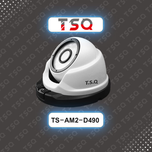 TS-AM2-D490